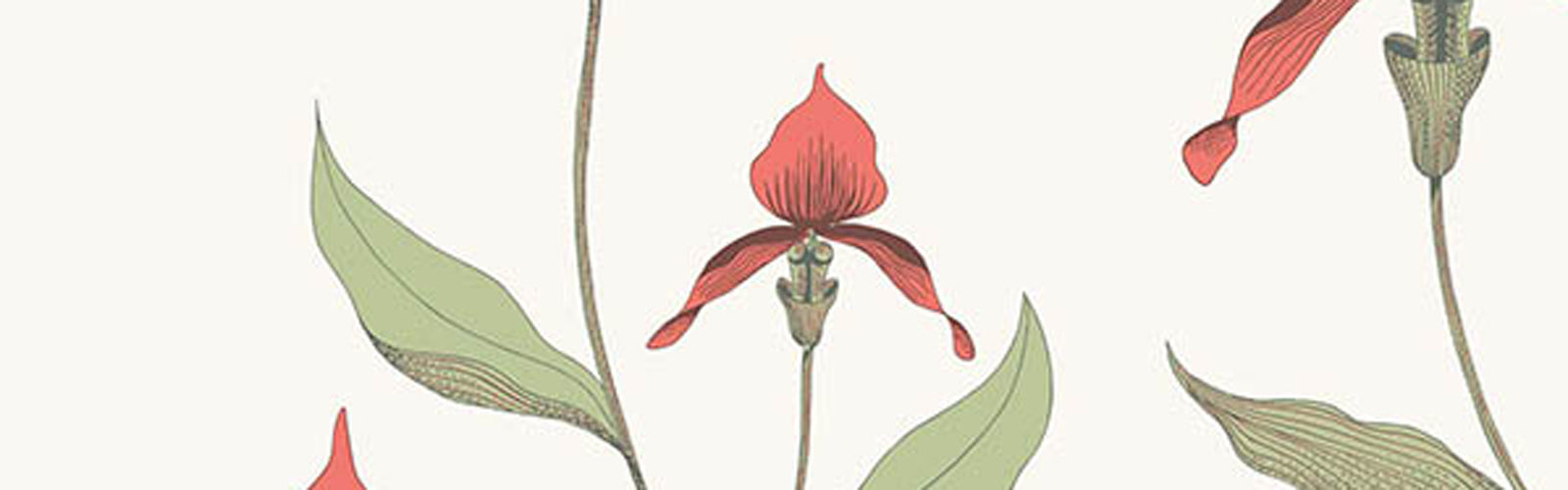 Cole and son new comtempory