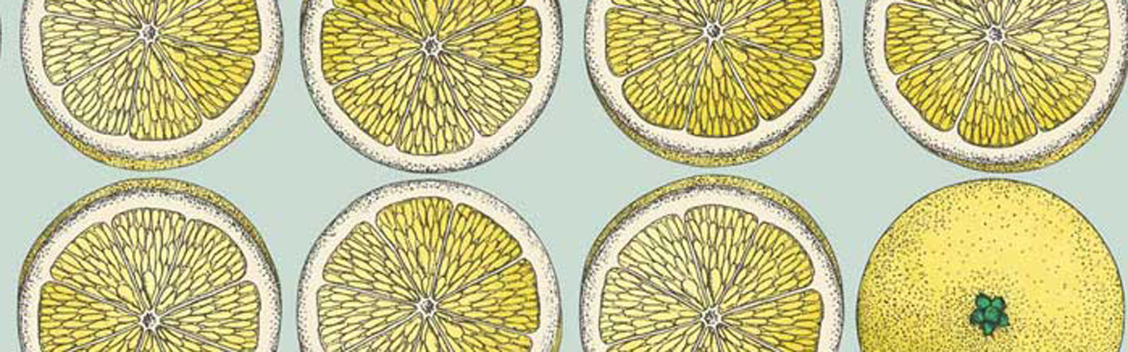 cole and son Fornasetti banner