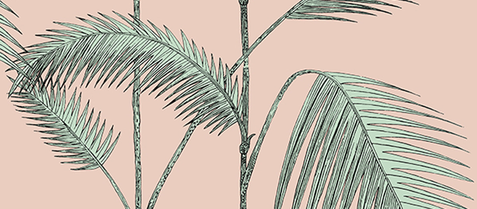 Cole and Son behang Miami