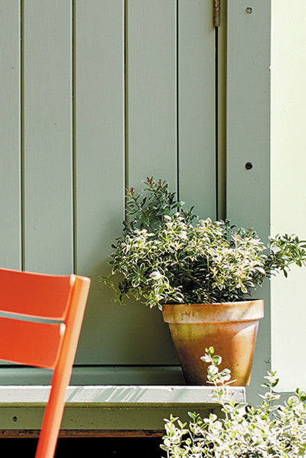 Little Greene verf - Windmill Lane 296