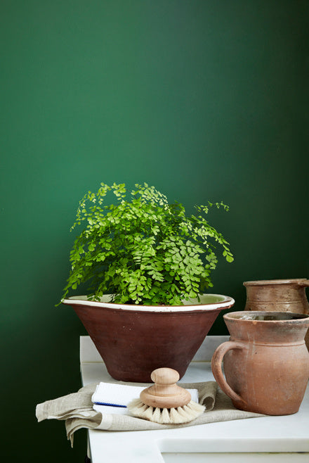 Little Greene verf - Dark Brunswick Green 88