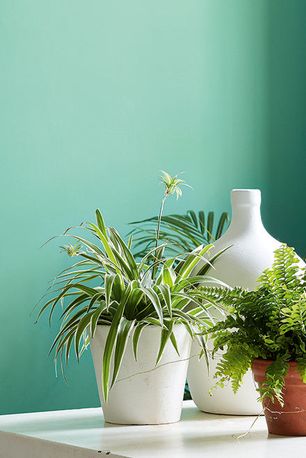 Little Greene verf - Green Verditer 92