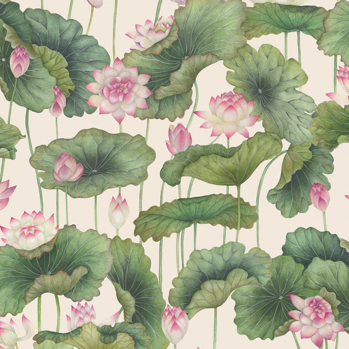 Cole and Son behang Lily Lotus Pink & White 126/9031