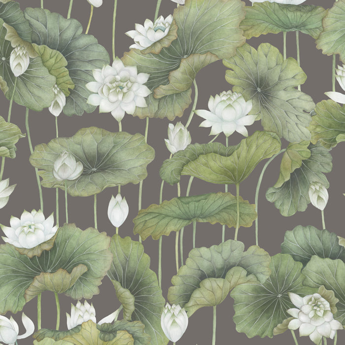 Cole and Son behang Lily Lotus White on Charcoal 126/9033