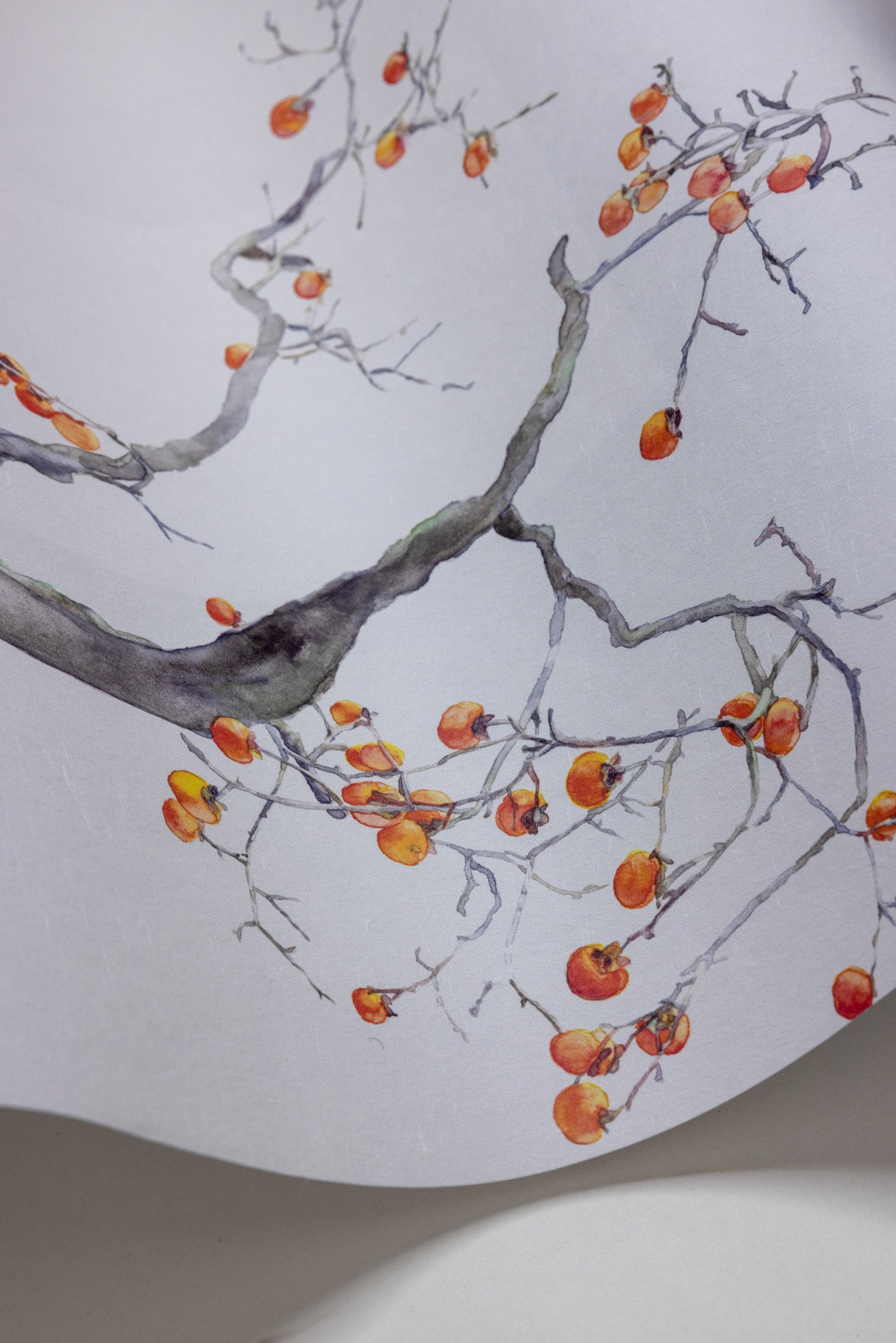 Cole and Son behang Kaki Persimmon Ivory & Bergamot 126/2003