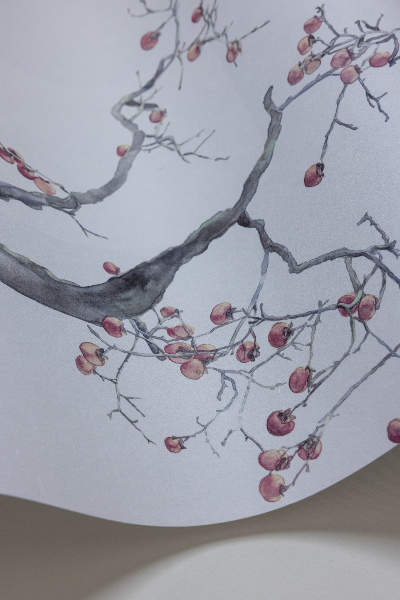 Cole and Son behang Kaki Persimmon Silver 126/2004