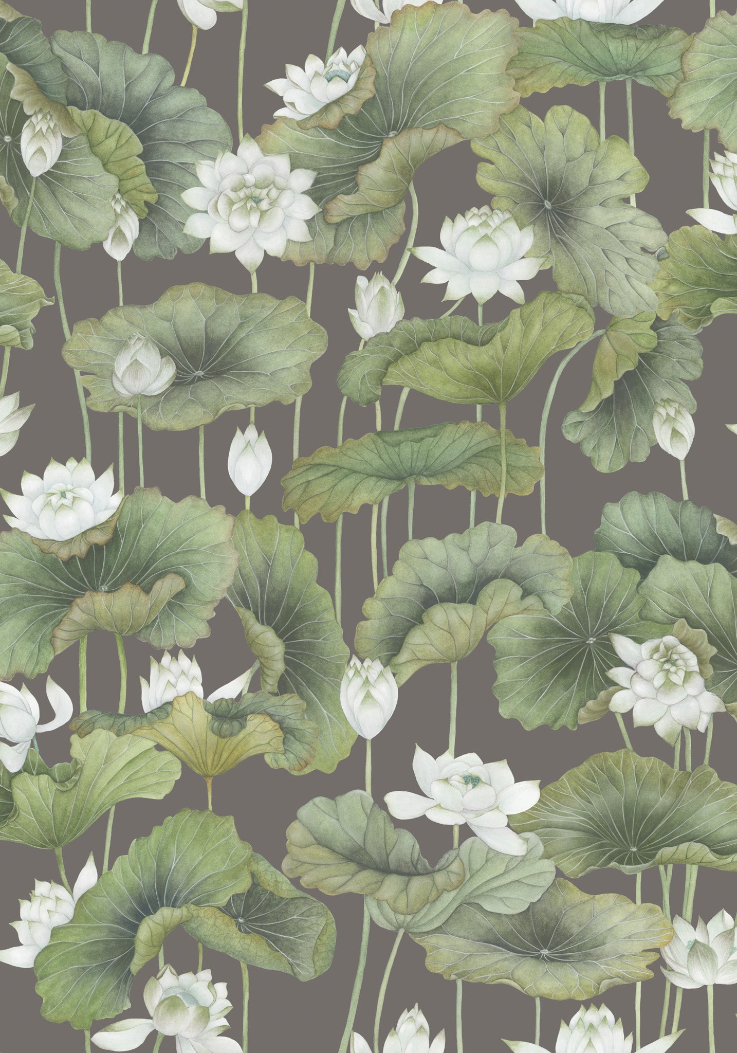 Cole and Son behang Lily Lotus White on Charcoal 126/9033
