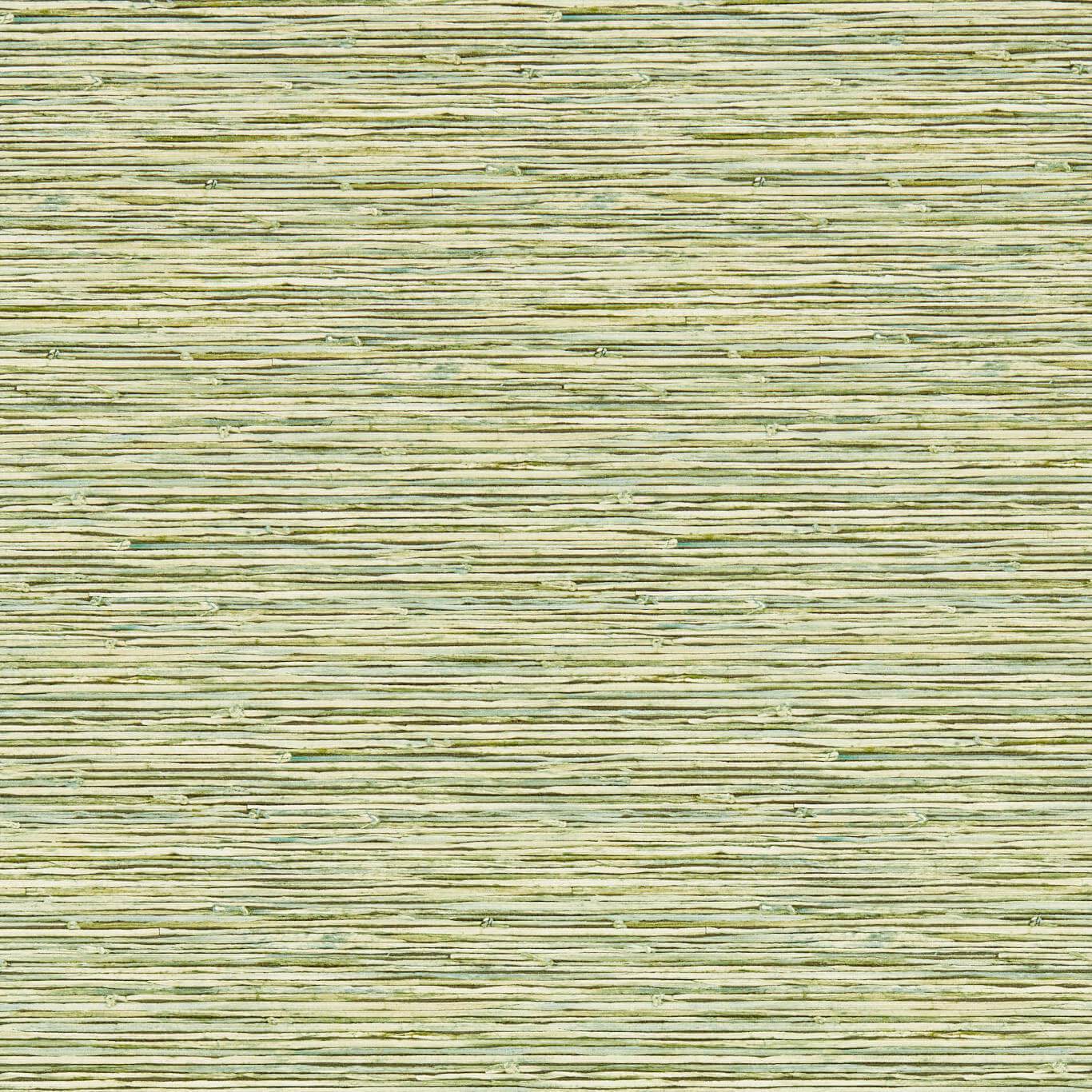 Clarke en Clarke behang Xan in de kleur Palm W0192-04