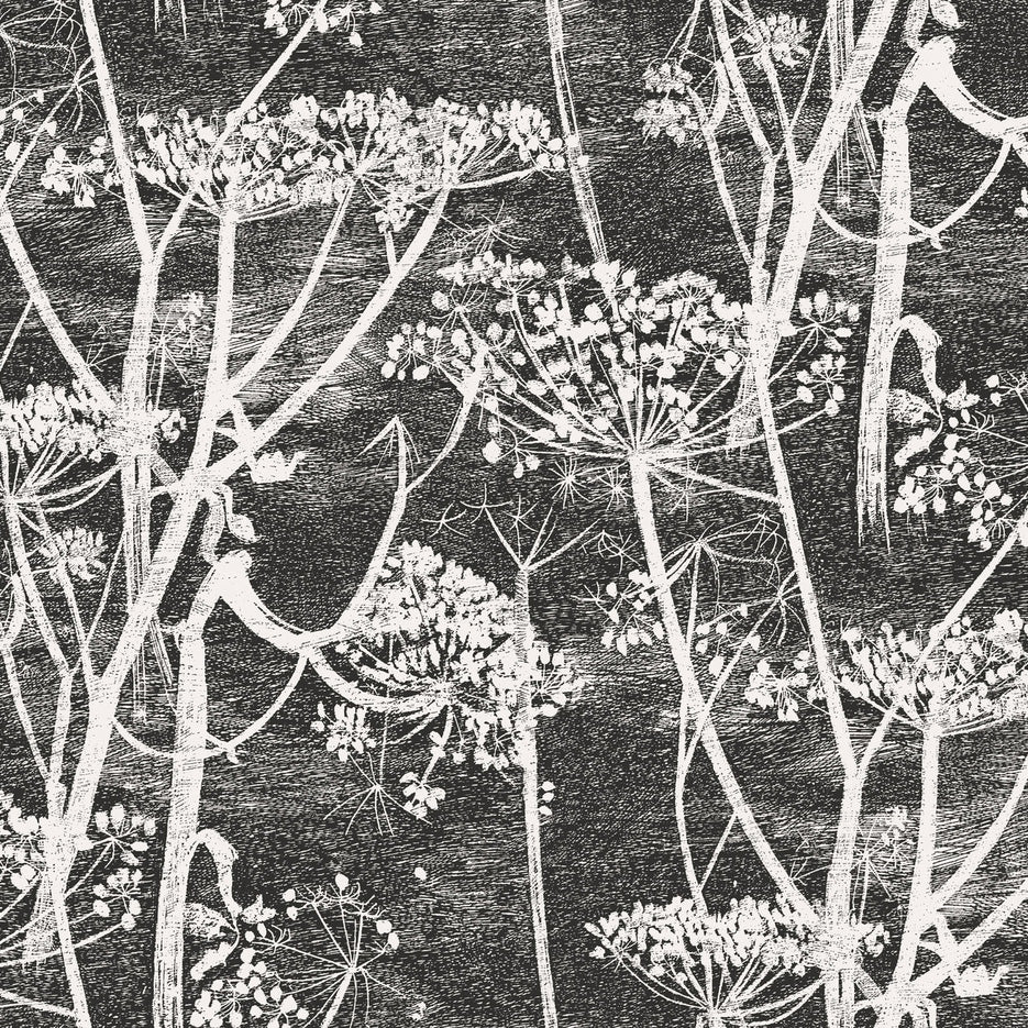Cole and Son behang Cow Parsley black 66/7046