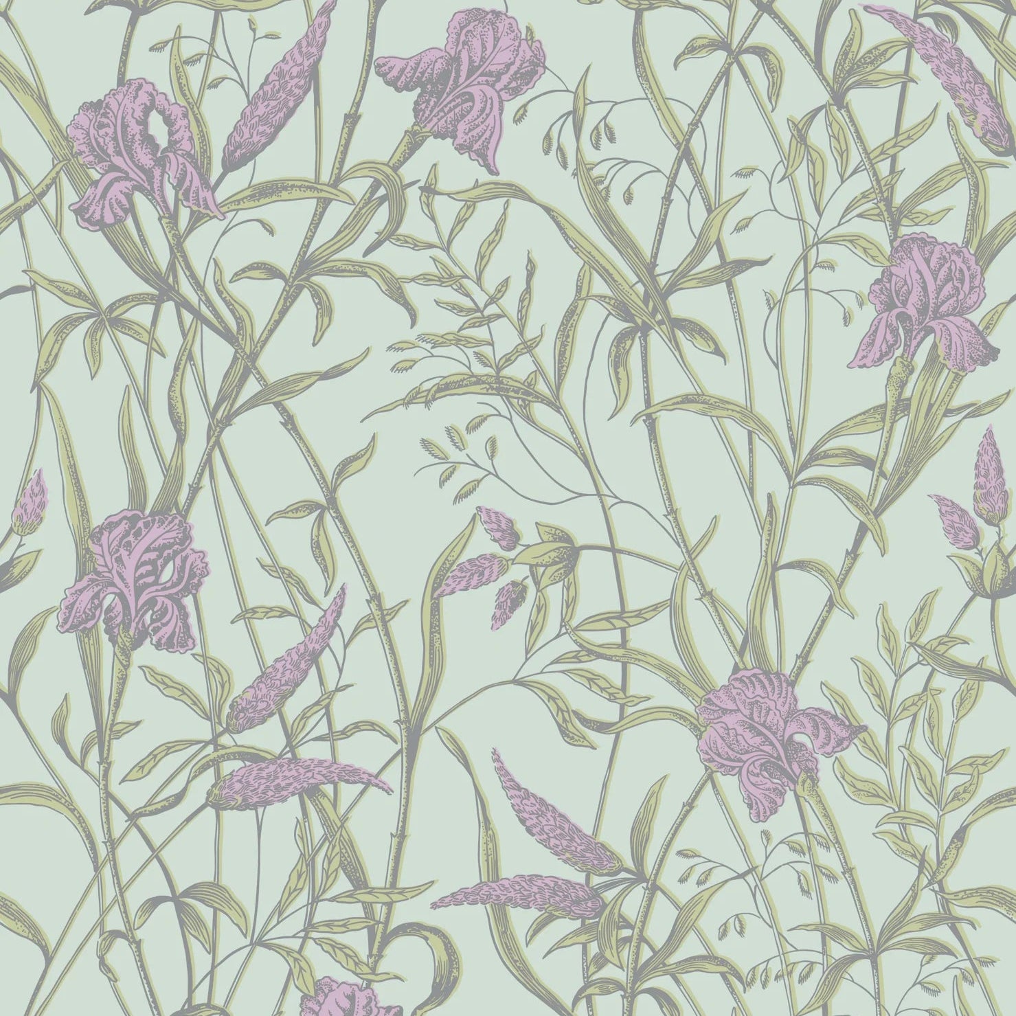 Cole and Son behang Iris Lavender on Duck Egg 128/5024