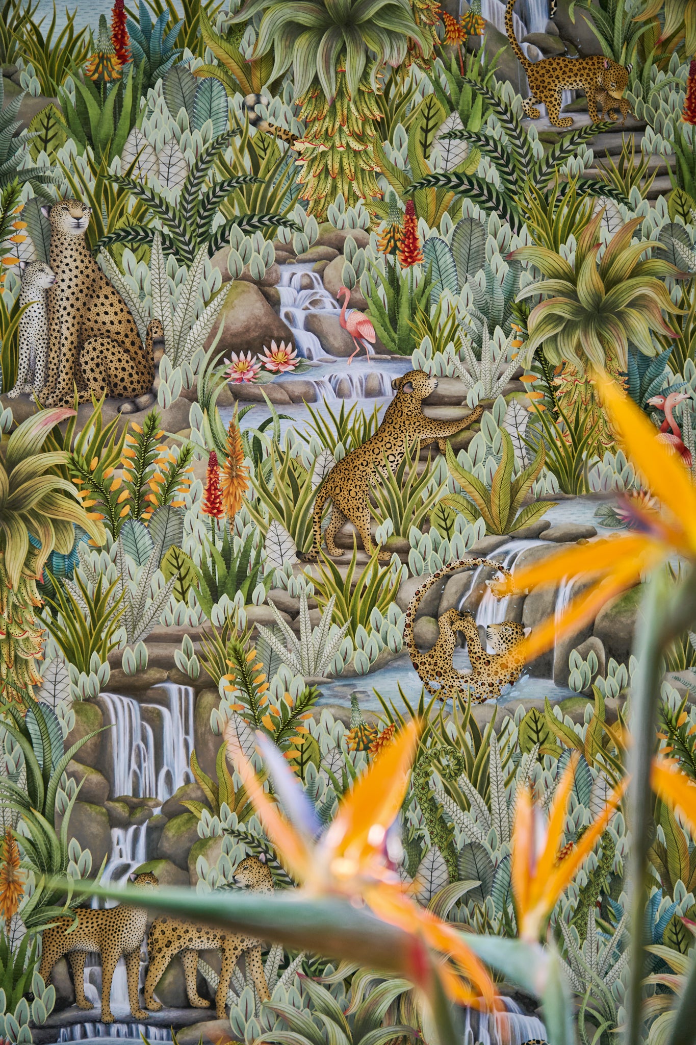 Cole and Son behang Injisuthi sfeerbeeld