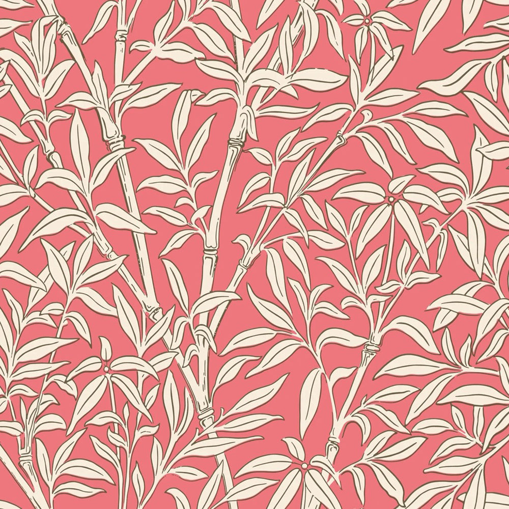 Cole and Son Classics Collection Vol.1 behang Bamboo Forest 127/1001 Chalk On Rouge