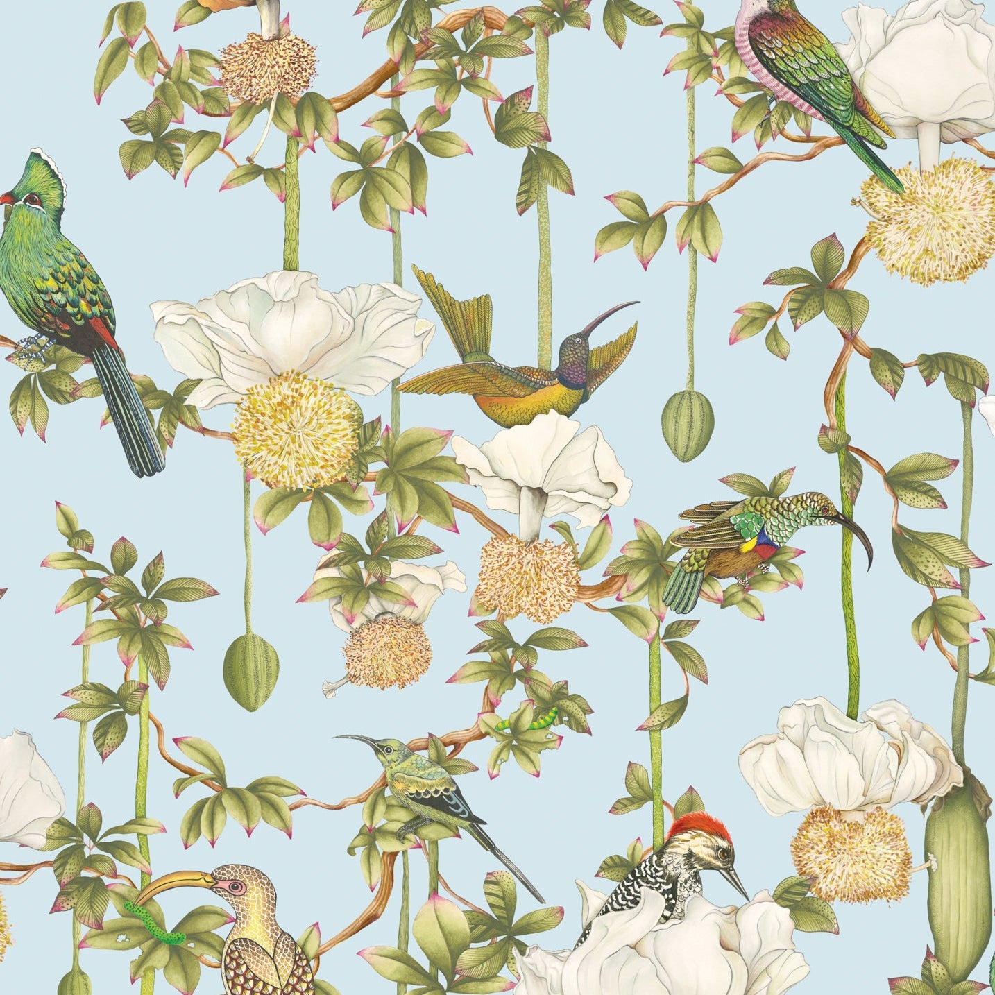 Cole and Son behang Baobab Botanica Sky Blue 129/2007