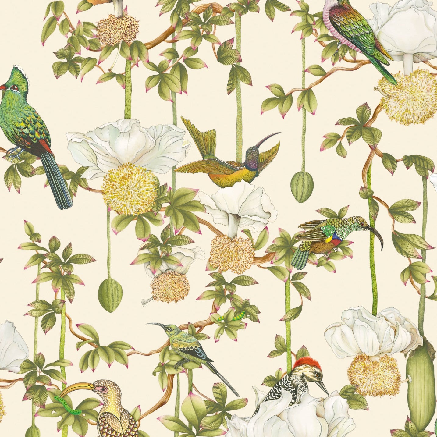 Cole and Son behang Baobab Botanica Stone 129/2004