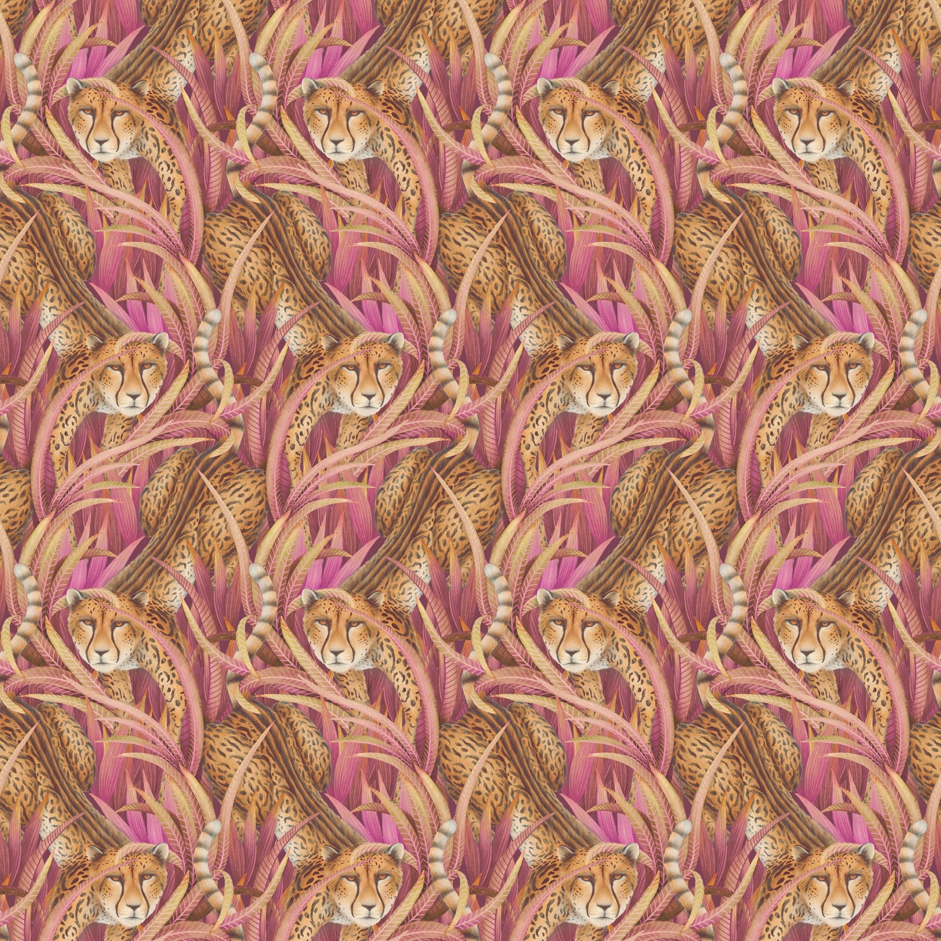 Cole and Son behang Cheetah Prowl Cerise 129/8045