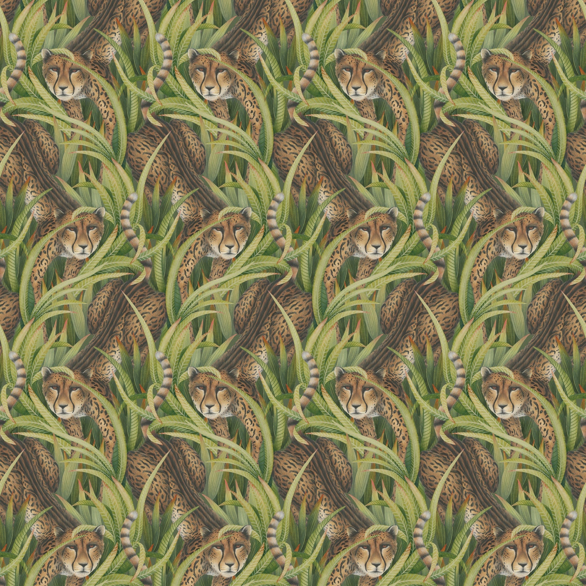 Cole and Son behang Cheetah Prowl Grass 129/8042