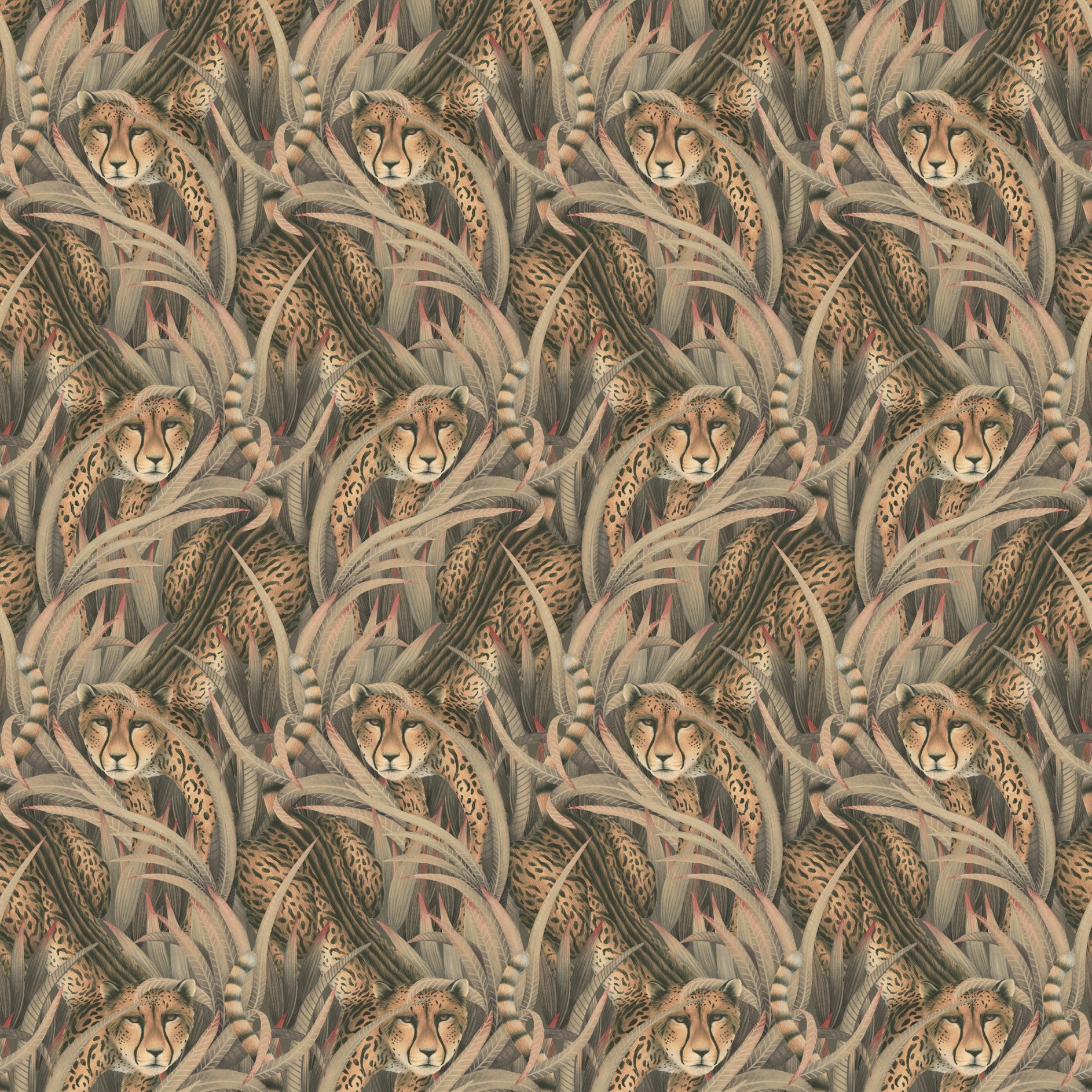 Cole and Son behang Cheetah Prowl Slate 129/8044