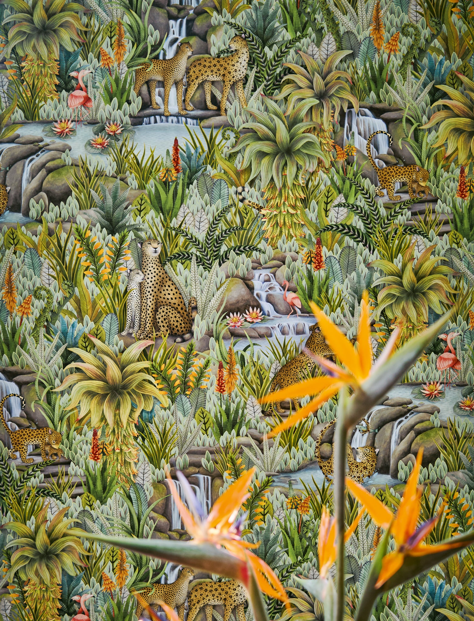 Cole and Son behang Injisuthi sfeerbeeld