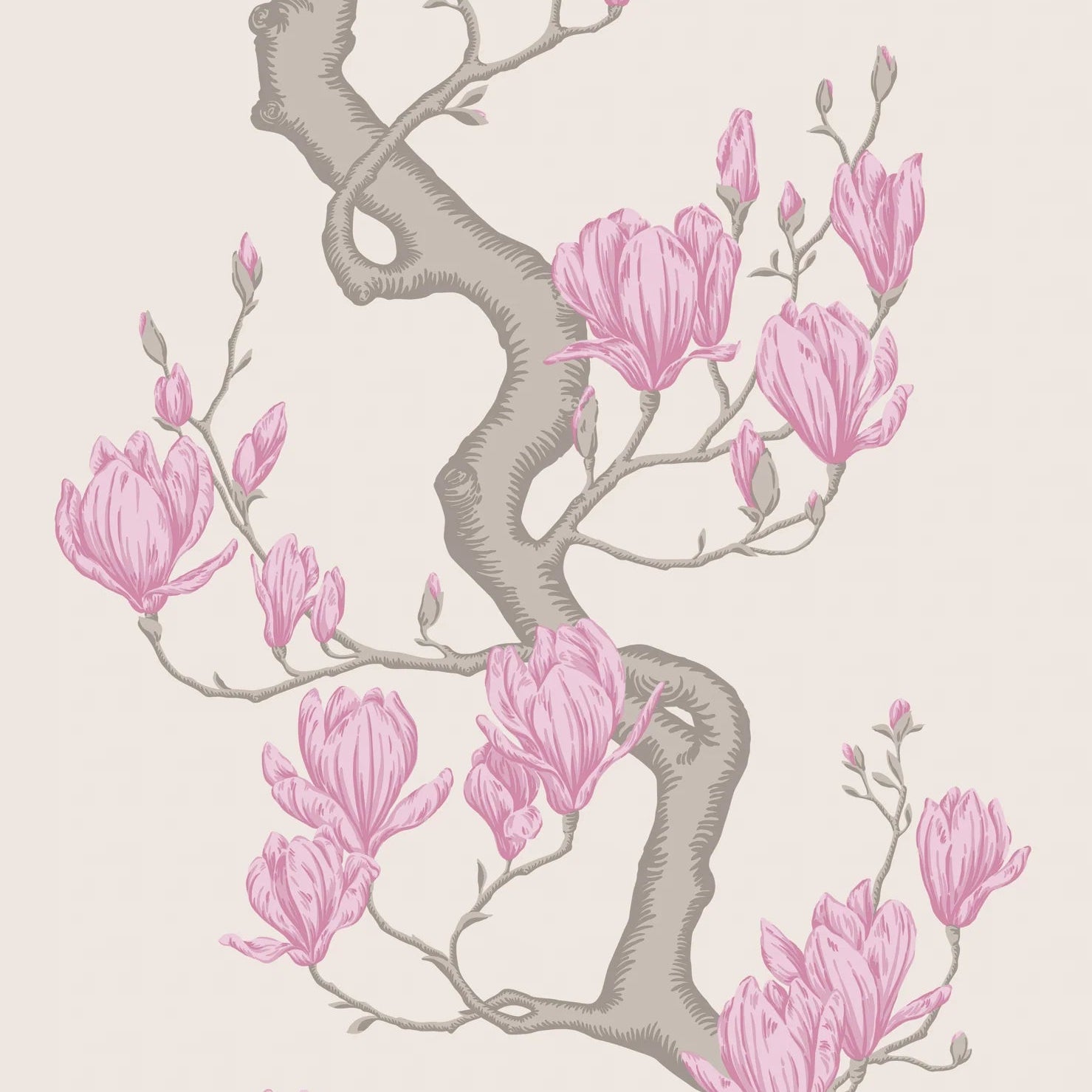 Cole and Son behang Magnolia Tree Parchment and Soft Fuchsia 128/1002
