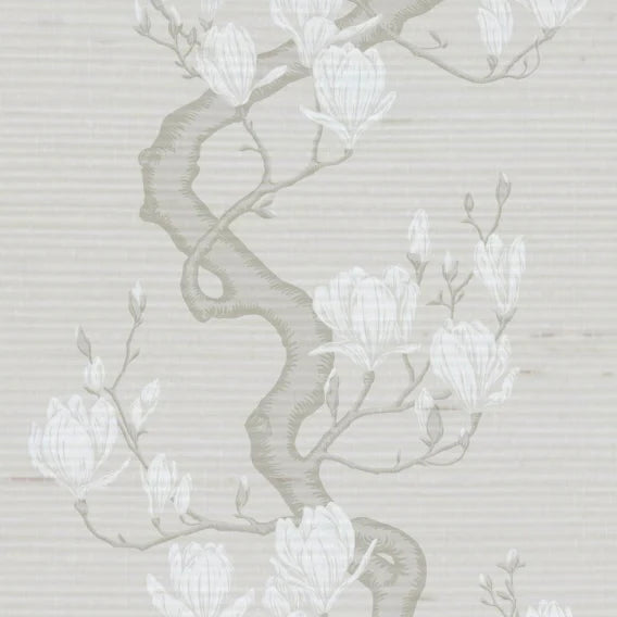 Magnolia Tree