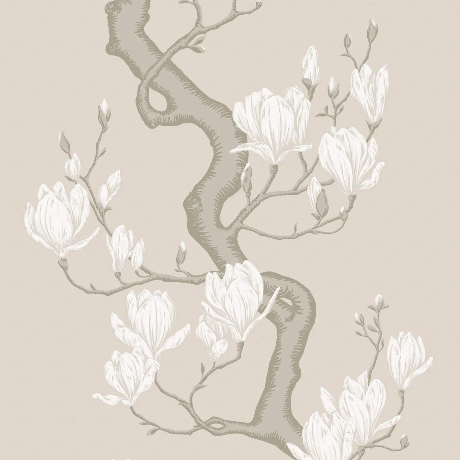 Cole and Son behang Magnolia Tree Soft Cream and Powder 128/1003