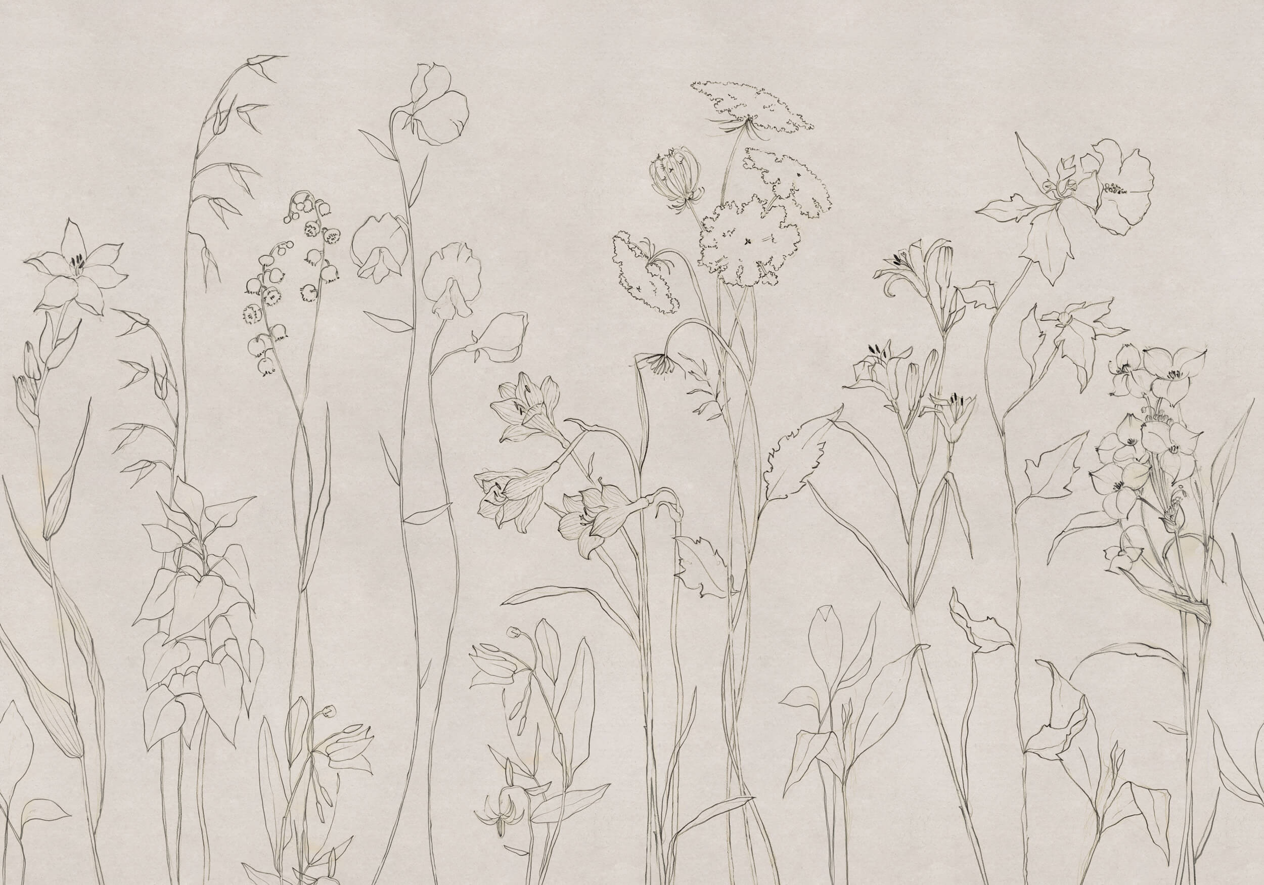 Coordonné Behang Countryside Ink B00365