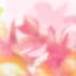 Coordonné Behang Maravillas Pink C00143