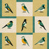 Coordonné behang Like a Bird Kumquat C00136
