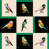 Coordonné behang Like a Bird Noir C00133