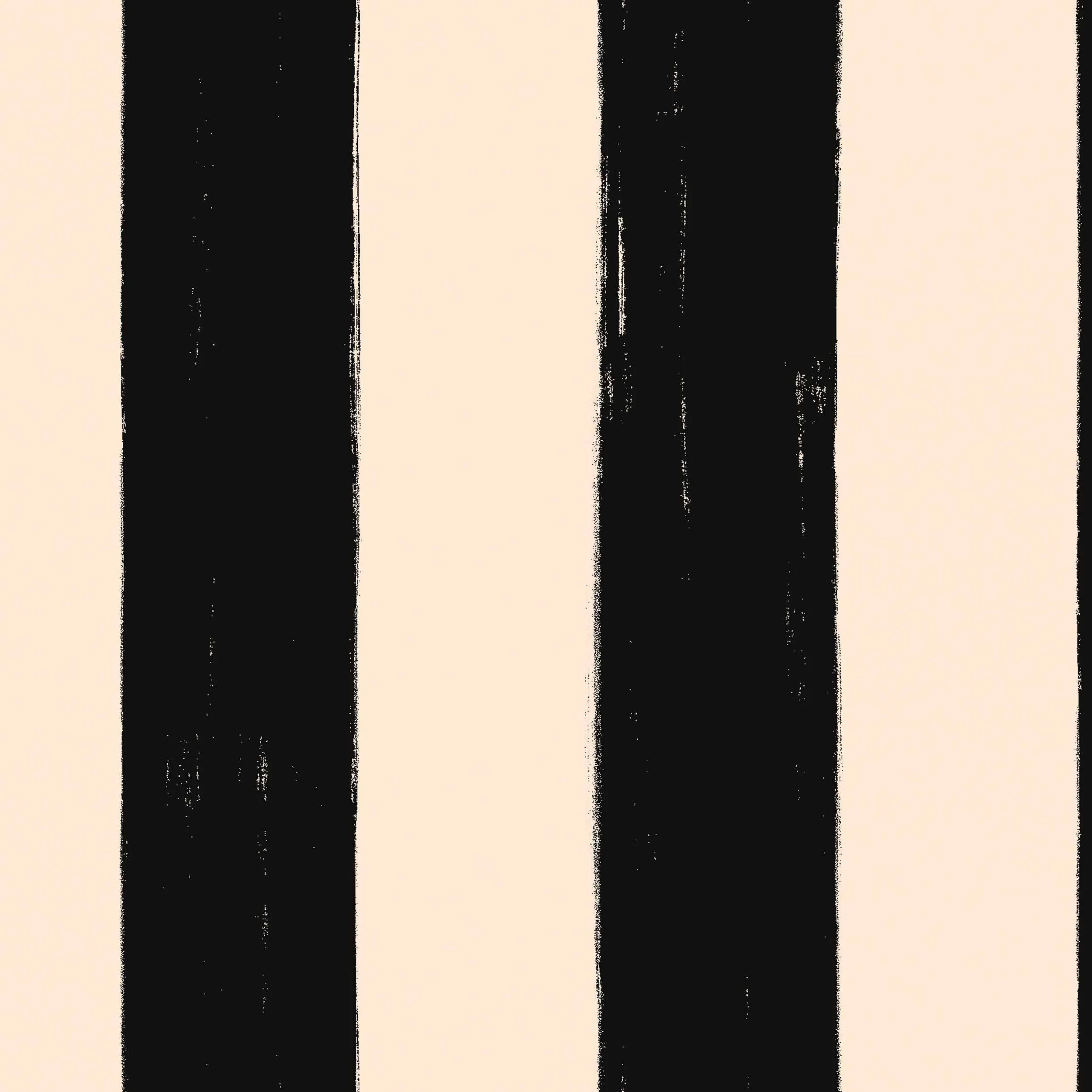 Coordonné behang Toldo Noir C00132