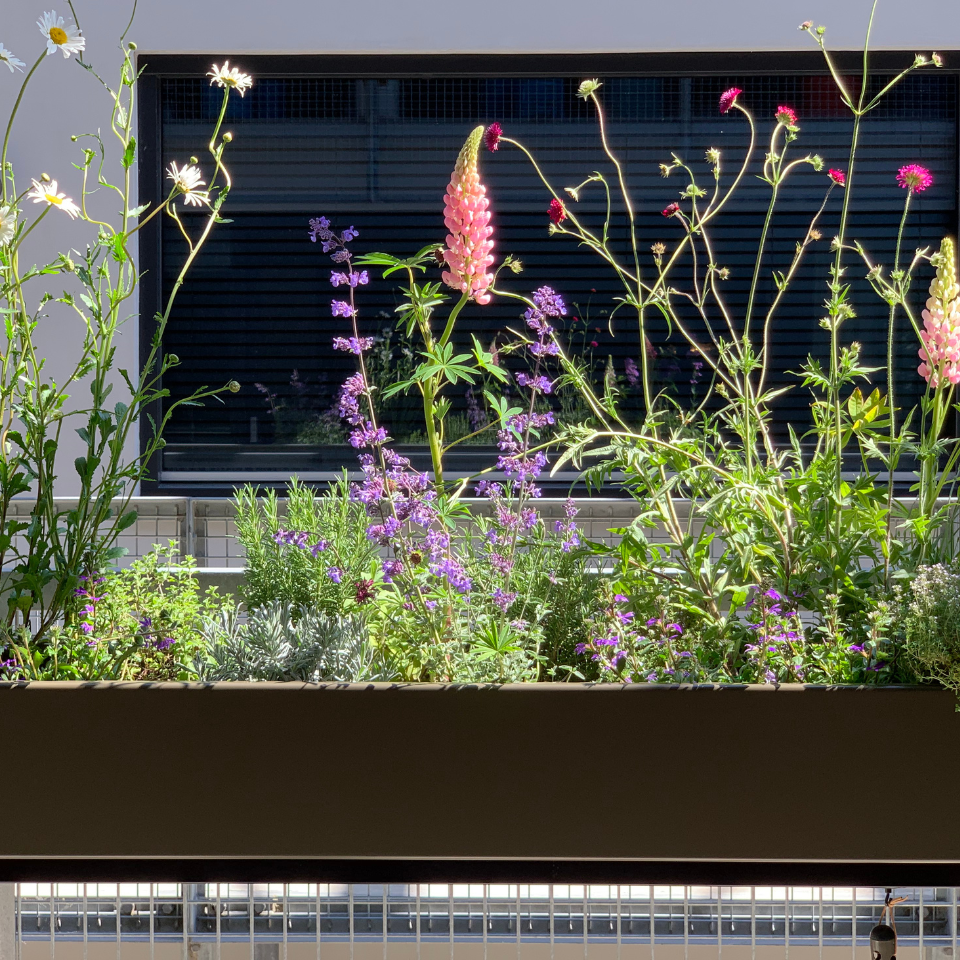 Weltevree gardenworks