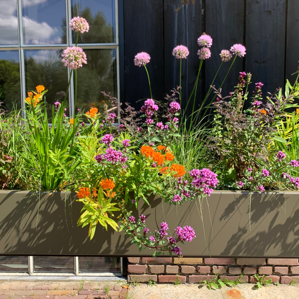 kweekbak Weltevree gardenworks