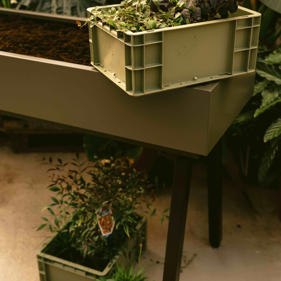 Weltevree gardenworks kweek
