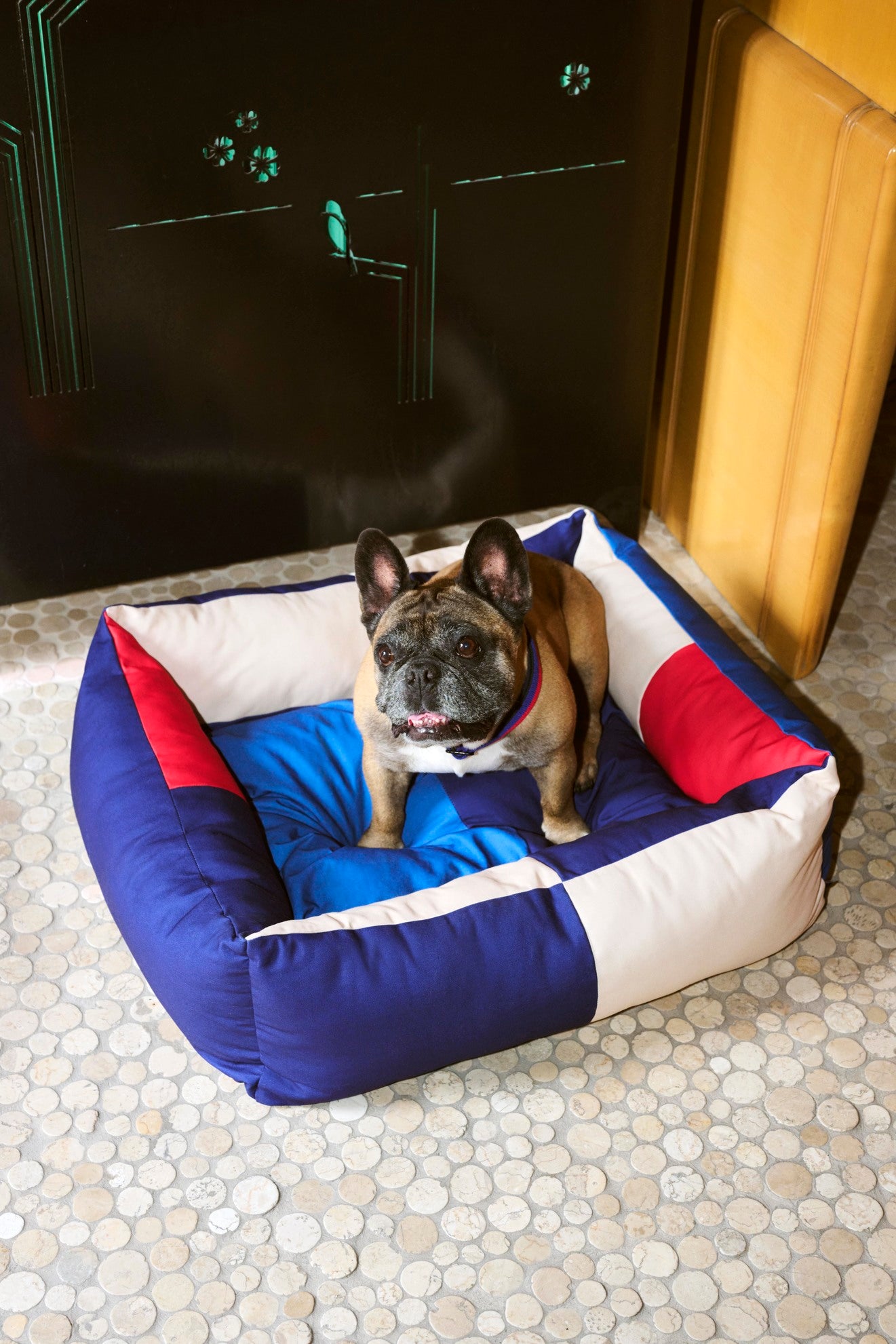 Hay dogs bed