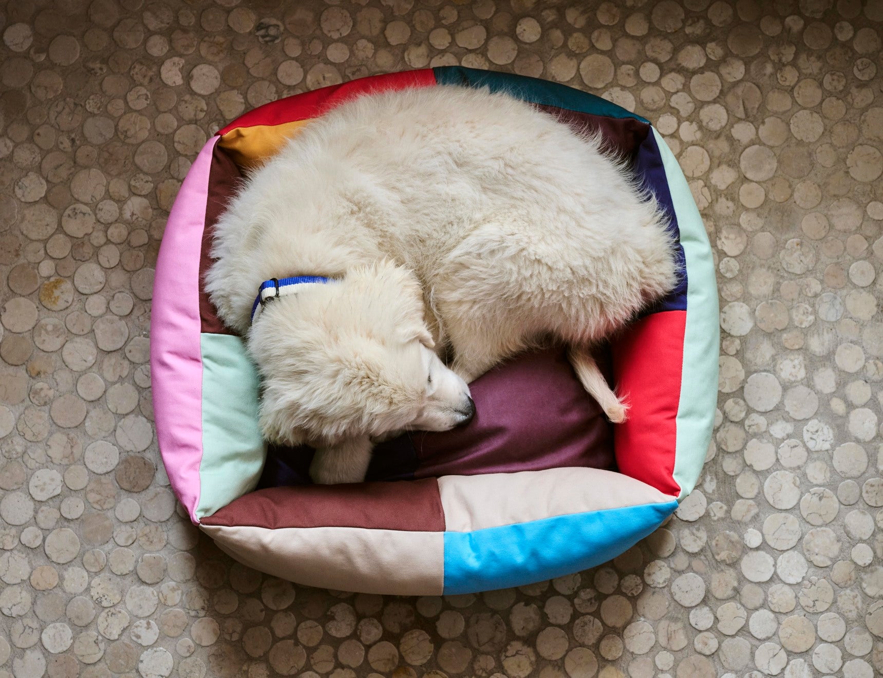 Hay dogs bed