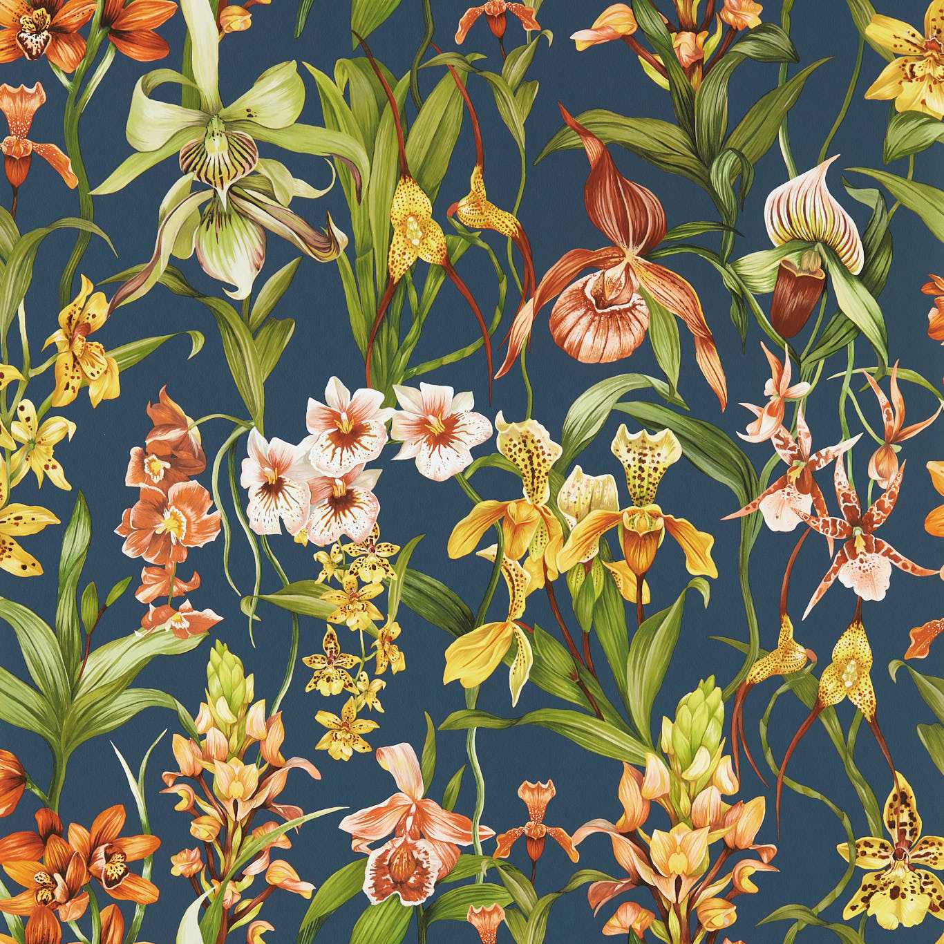 Harlequin behang Kalina Midnight 113010