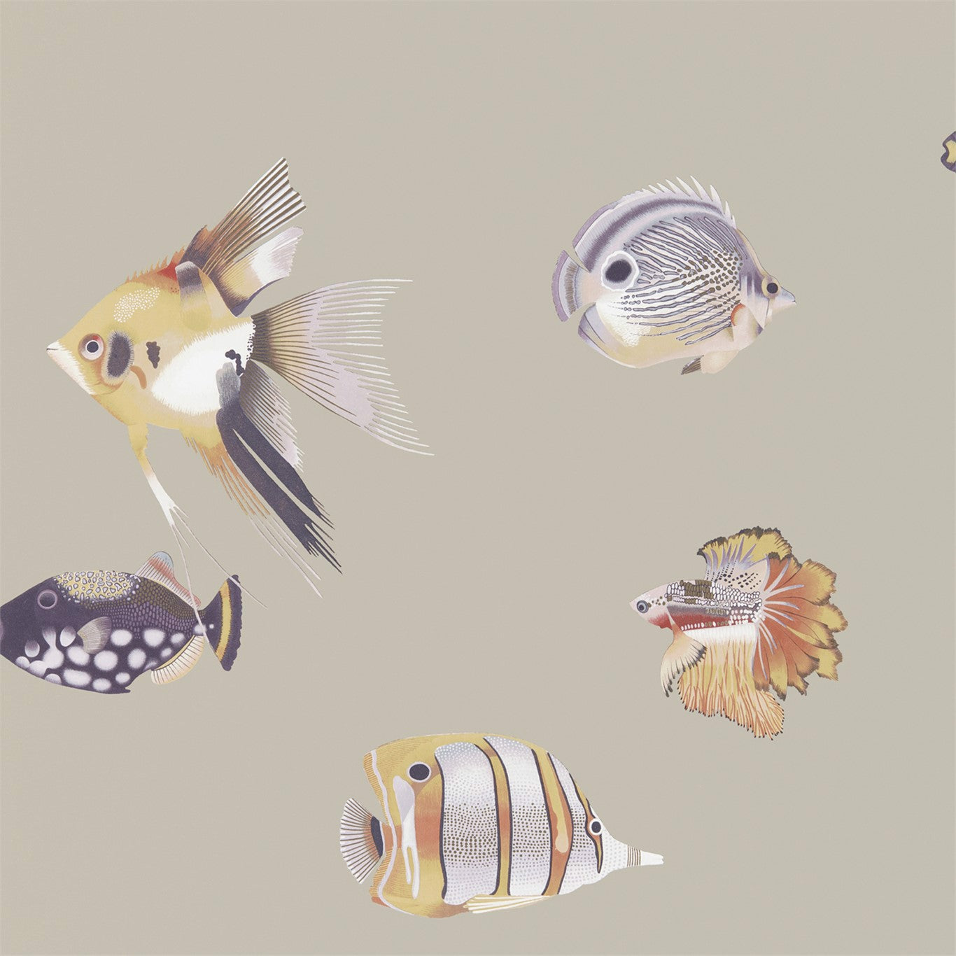Harlequin behang Kamanu Mandarin/Fig 111647
