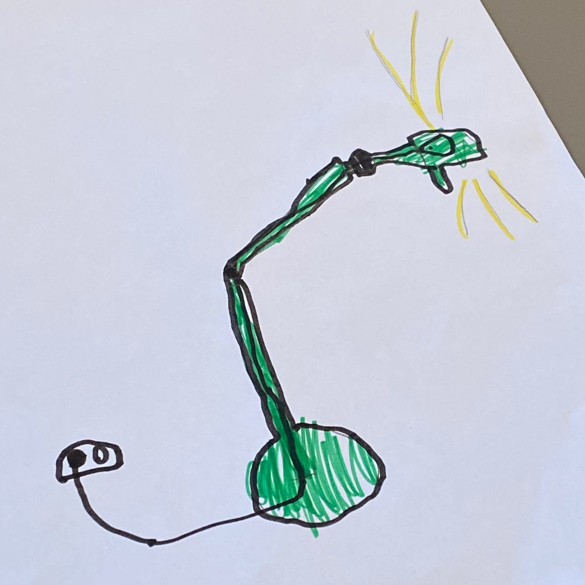 Tonone Bolt plafondlamp double arm under fit - Special editie Adam Green