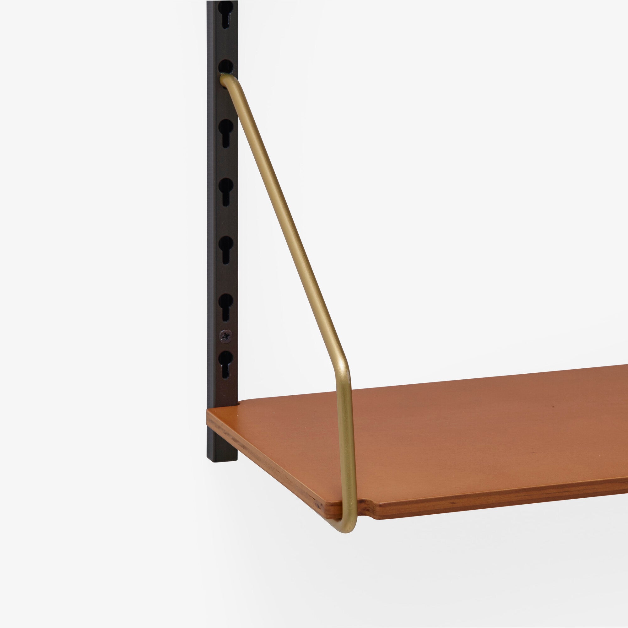 Ligne Roset Bibliothèque wandkast