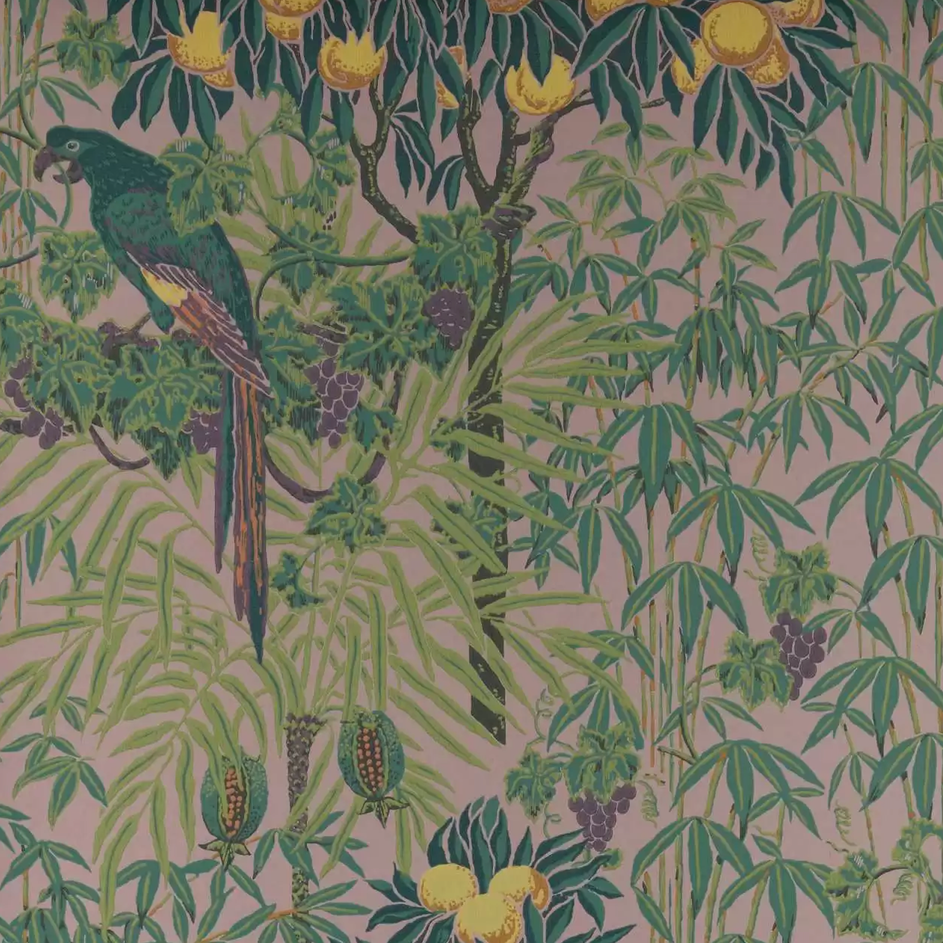 1838 Wallcoverings behang Macaw - Blush Pink 2311-167-02