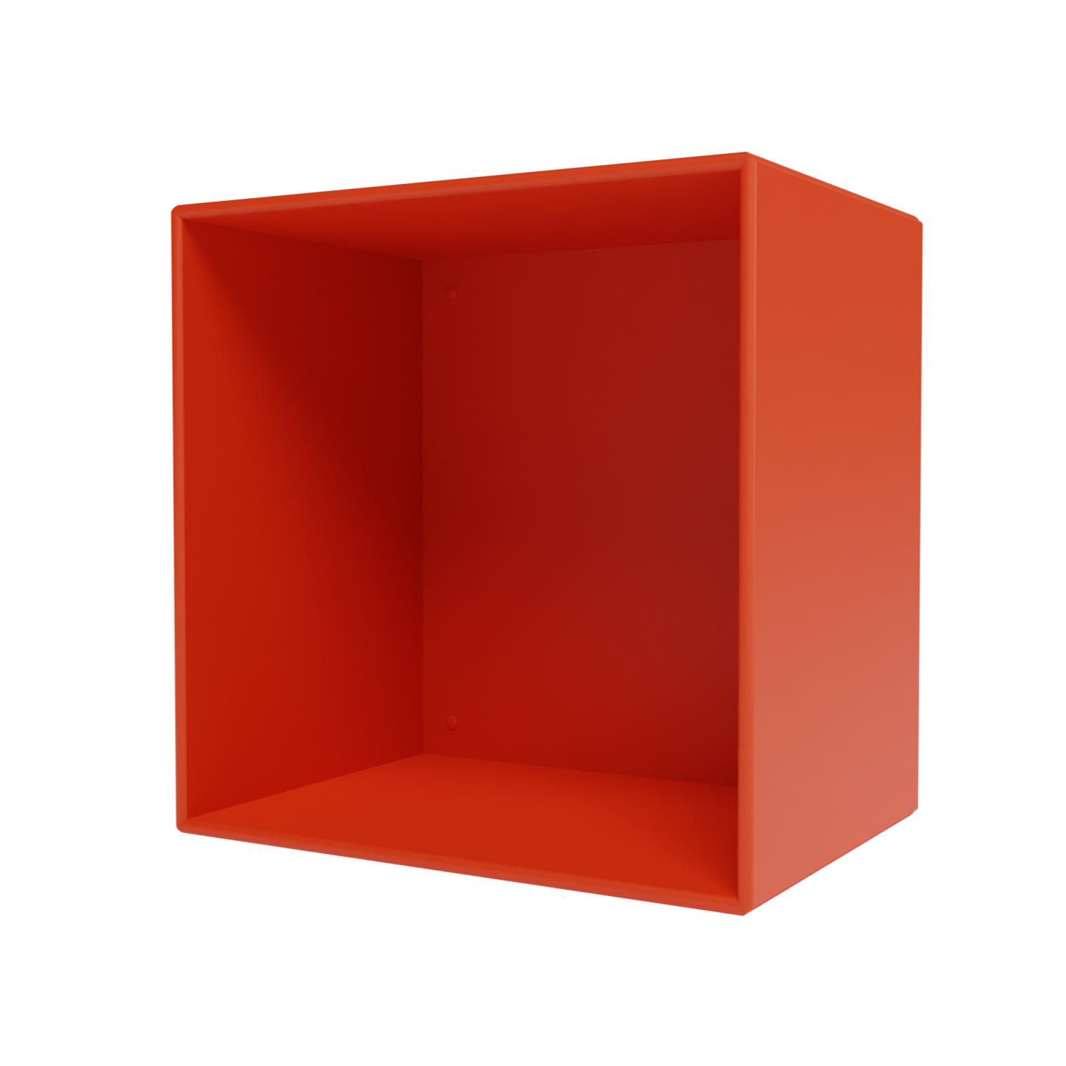 Montana Mini 1001 wandkast in de kleur 145 Rosehip