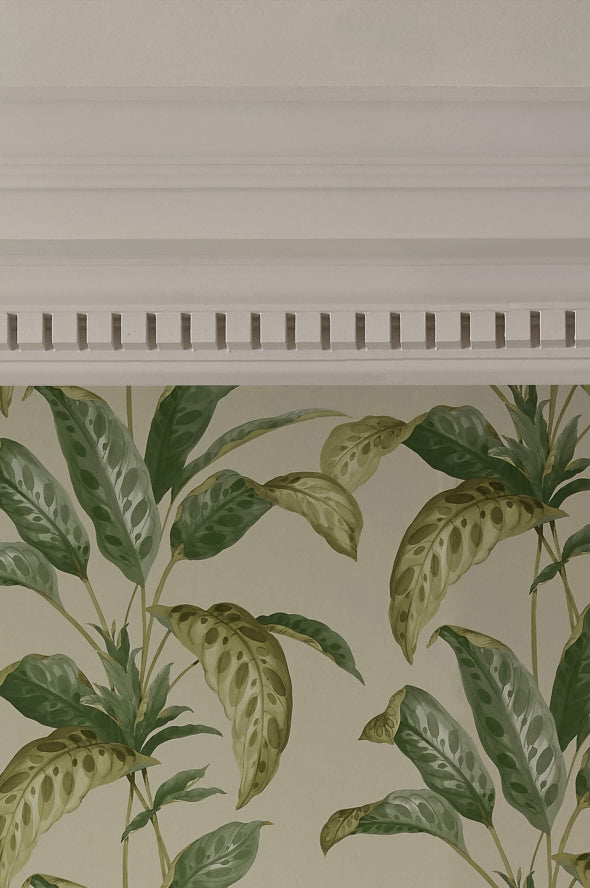 Paint & Paper Library verf Sand I (261)