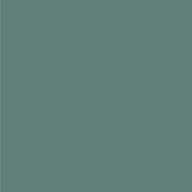 Paint & Paper Library verf Iguana (551)