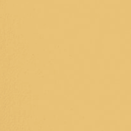 Paint & Paper Library verf Parasol (508)