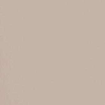 Paint & Paper Library verf Plaster V (405)