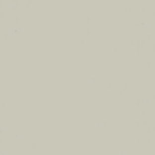 Paint & Paper Library verf Slate V (165)