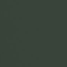 Paint & Paper Library verf Stable Green (554)