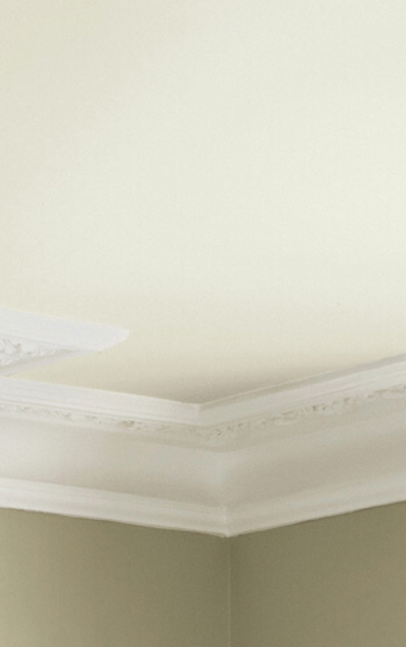 Paint & Paper Library verf Wattle I (561)