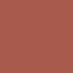 Paint & Paper Library verf Beetlenut (413)