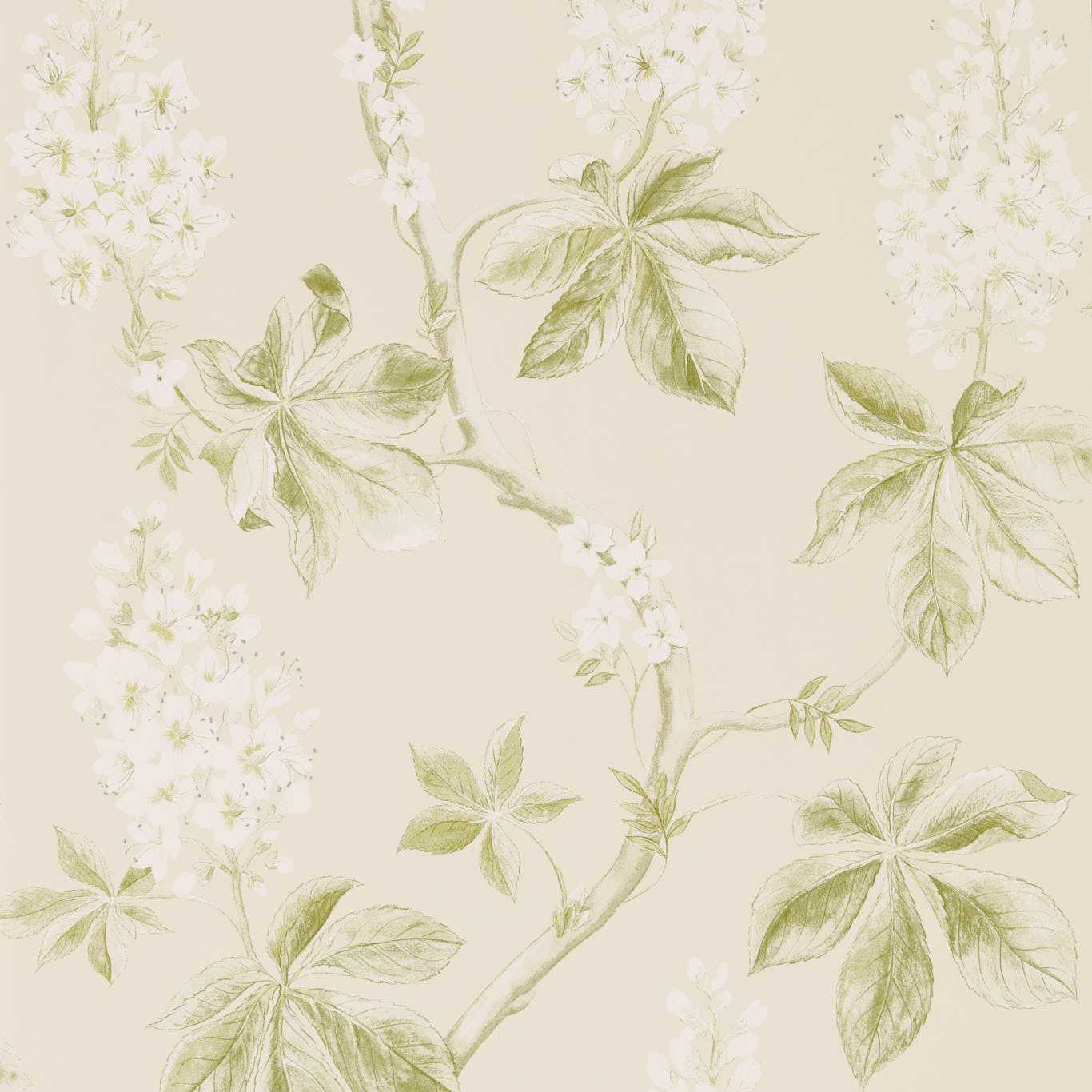 Sanderson Chestnut Tree Lemon/Lettuce 215707